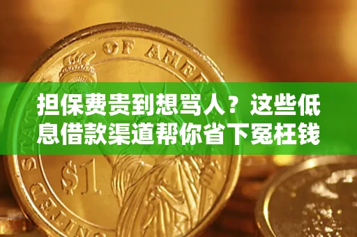 北京担保费贵到想骂人？这些低息借款渠道帮你省下冤枉钱